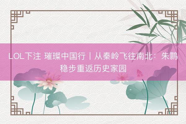 LOL下注 璀璨中国行丨从秦岭飞往南北：朱鹮稳步重返历史家园