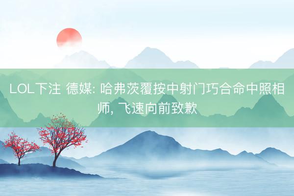 LOL下注 德媒: 哈弗茨覆按中射门巧合命中照相师， 飞速向前致歉